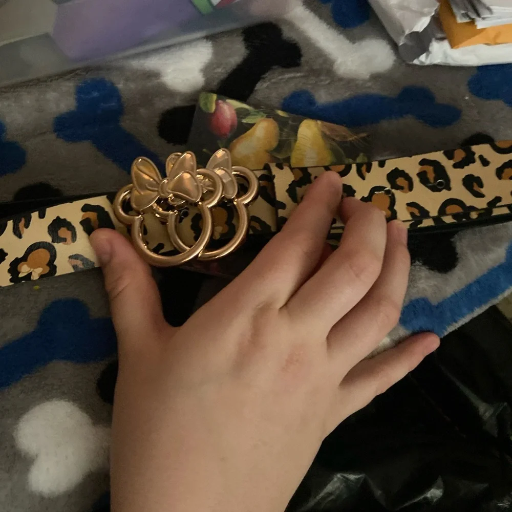 Belt - Picture 1 of 2